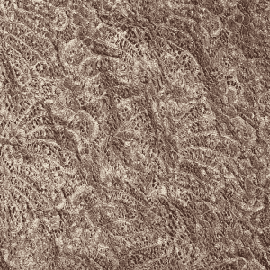 Brown Chantilly Lace