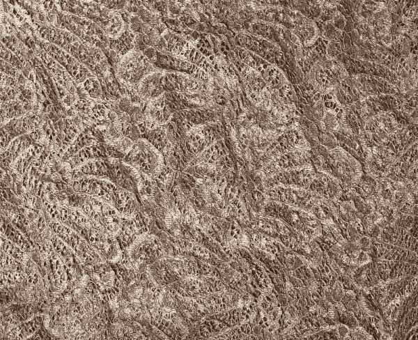 Brown Chantilly Lace